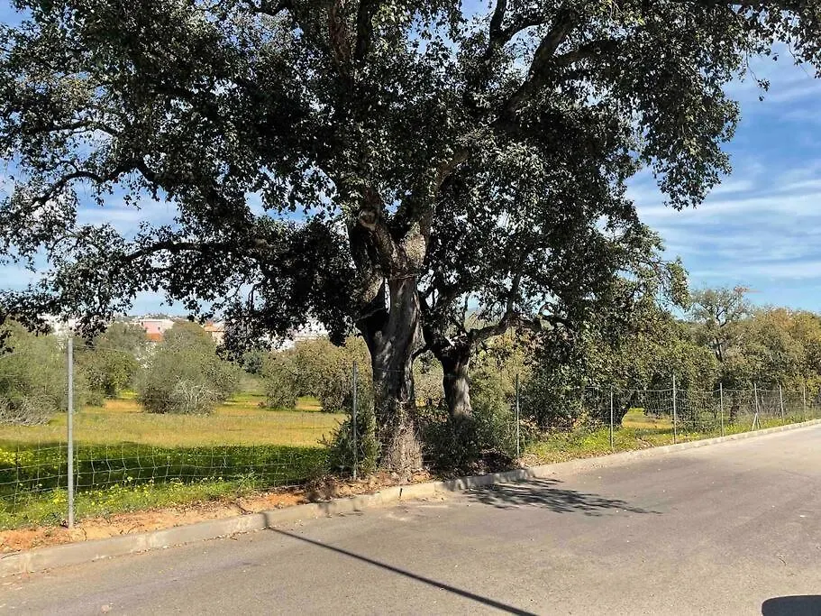 Secret Hideaway In Almancil Next To Quinta Villa